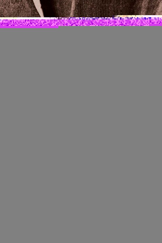 Citroen C4-C5 için Ön Set Cam Kriko Plastiği