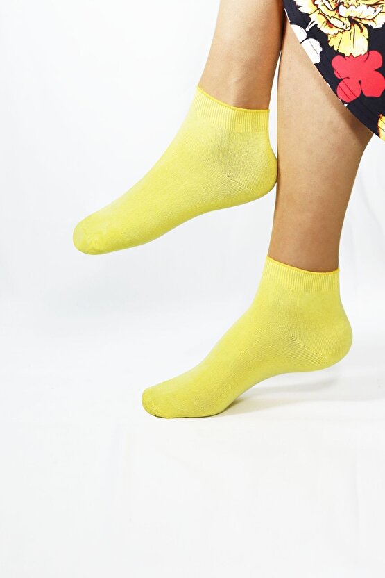 Hediye Kutulu (6 ÇİFT) Kaliteli Bambu Kısa Model Patik Çorap Dikişsiz Hassas Dokuma Parfümlü