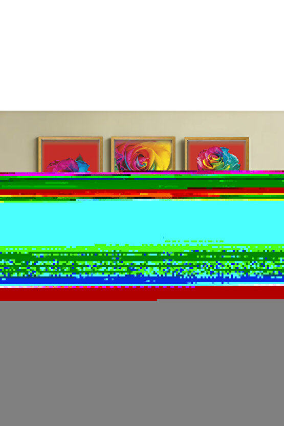 3 Parça Çerçeve Görünümlü Mdf Tablo Seti güller ve çiçekler