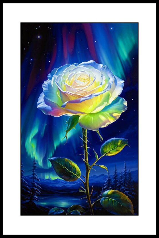 Işık Saçan Gül Digital Art ( ÇERÇEVESİZ - ÇERÇEVE YOKTUR ) ( ULTRA HD ) FOLYO AFİŞ - POSTER