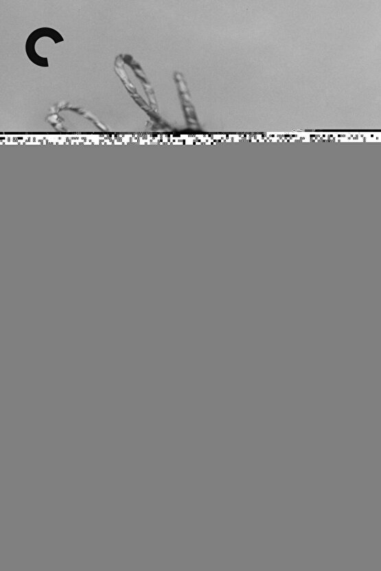 40x70 Cm Çift Sehpalı Oluklu Izgaralı Ve Pleyt Tavalı Kokoreç Şişli Mangal