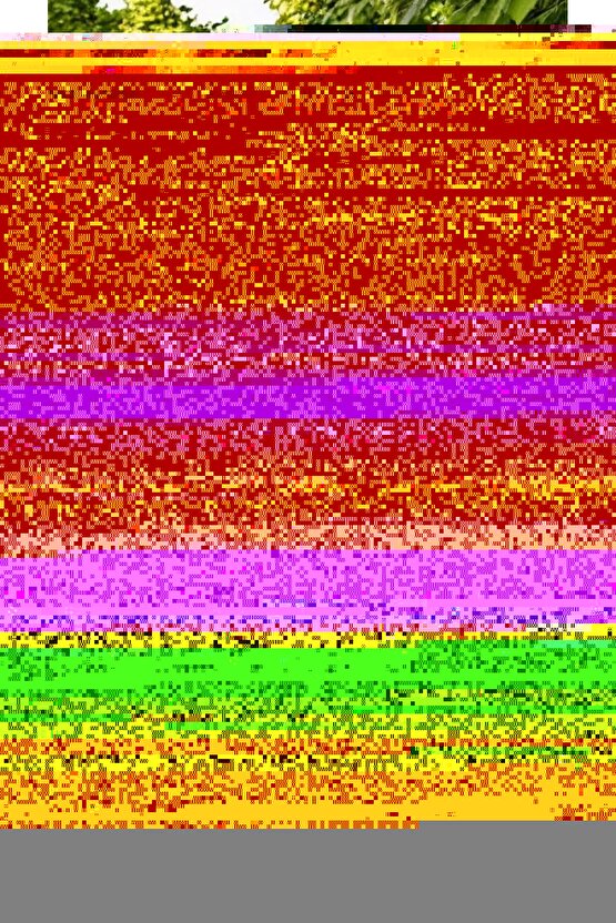 The Hills Have Eyes 2 (2007) AFİŞ - POSTER ( FOLYO ) - AFİŞ - POSTER-7142