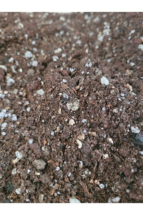 Kaktüs Sukulent Toprağı 1 Litre- Yüksek Kalite, Ithal Torf Karışımlı
