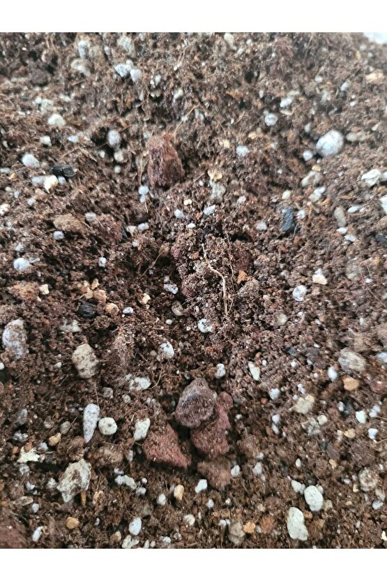 Kaktüs Sukulent Toprağı 1 Litre- Yüksek Kalite, Ithal Torf Karışımlı