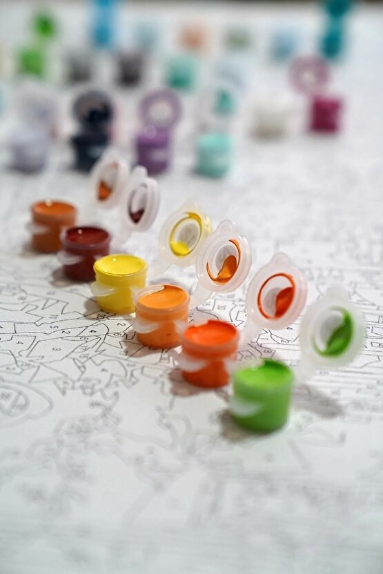 Sayılarla Boyama Kasnaklı Tablo Seti Fırça Boya Dahil 40x50 Karanlık