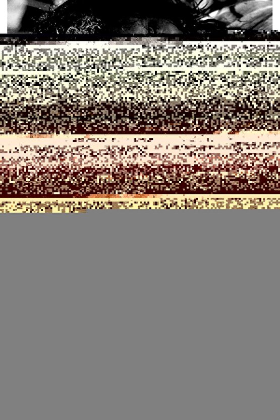 Kedi Köpek Evcil Hayvan Taşıma Çantası 33cmx30cmx47cm