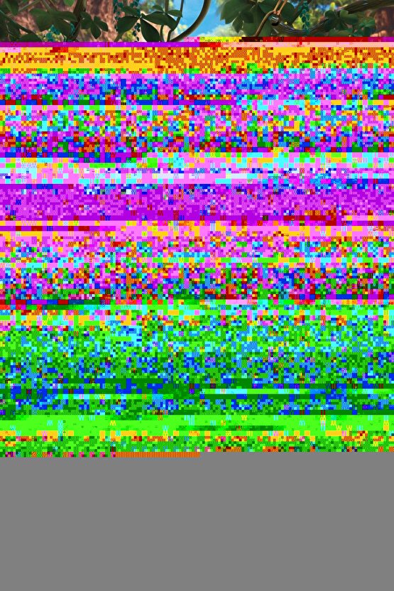 İskelet Köpek (iskelet koleksiyonu)