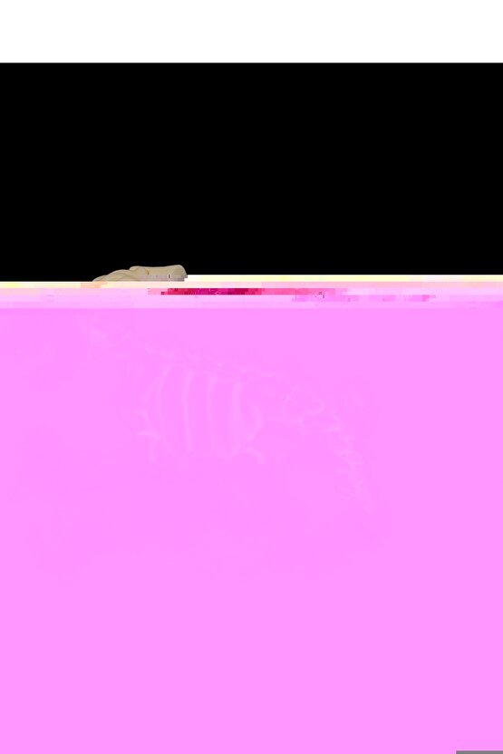 İskelet Köpek (iskelet koleksiyonu)