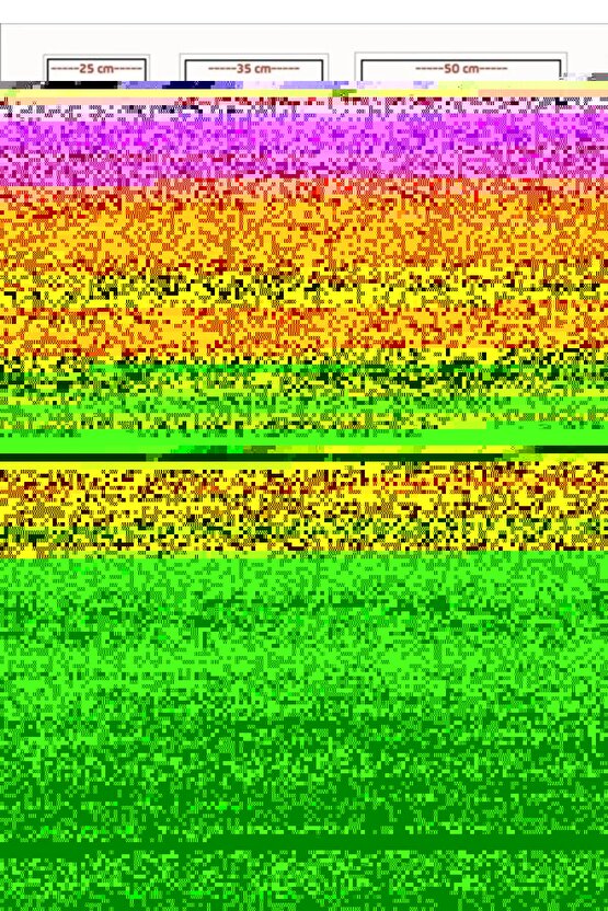 Livelli Porselen Çerezlik Reçellik Sosluk Kase 9cm 3 Adet