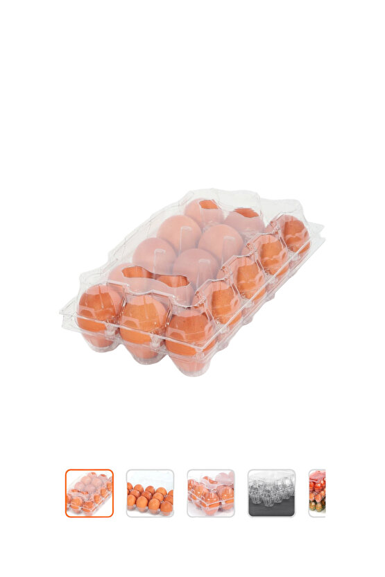 PLASTİK YUMURTA VİYOL 50 ADET 15 Lİ KAPAKLI ŞEFFAF VİYOL