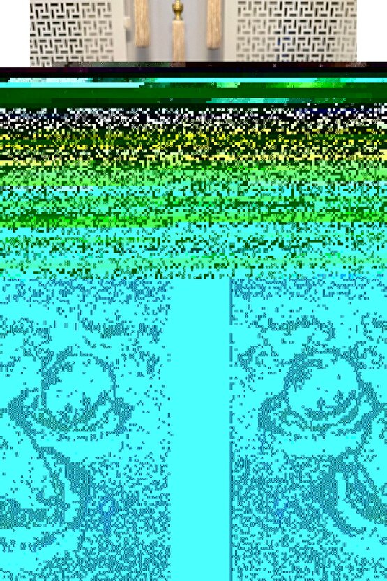 KOSOVA 6 Kişilik 12 Parça Porselen Ayaklı Güllü Kahve Takımı