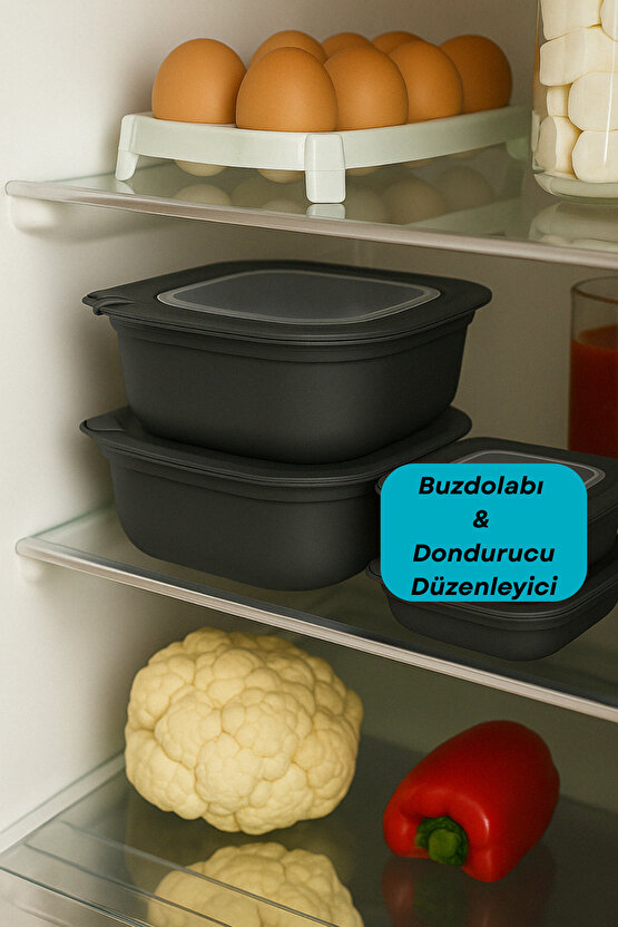 3lü Renkli Kilitli Kapaklı Saklama Kabı Difrize Mikrodalga ve Buzdolabı Uyumlu Düzenleyici Elegant