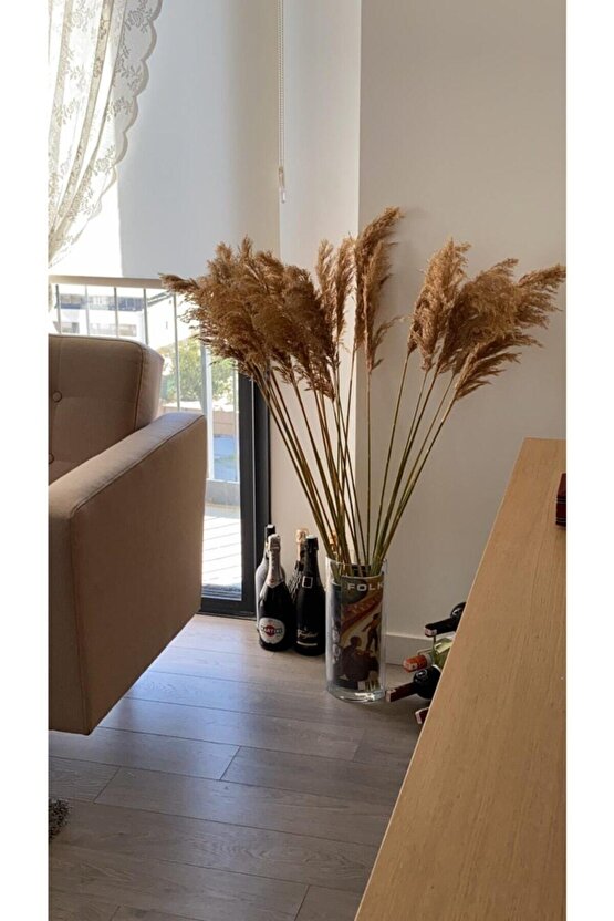 Kuru Çiçek Pampas 20 Adet 100 Cm