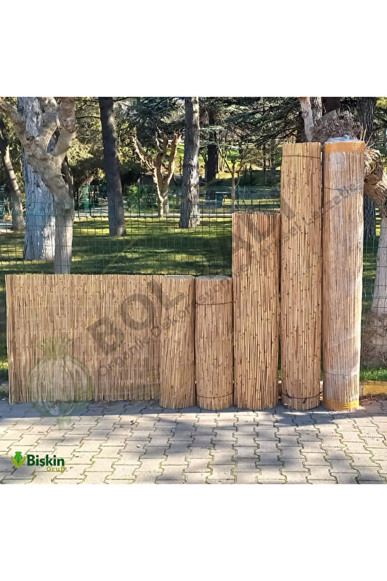 2m x 5m Kamış Çit Doğal Dekoratif Çit Misina İpli