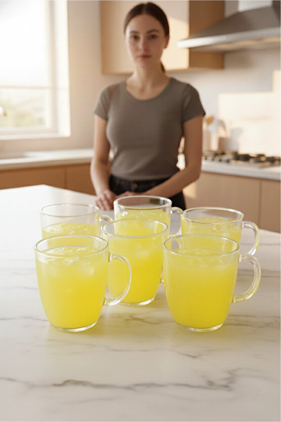 6lı Şeffaf Mika Kulplu Bardak Seti Mika Bardak Seti