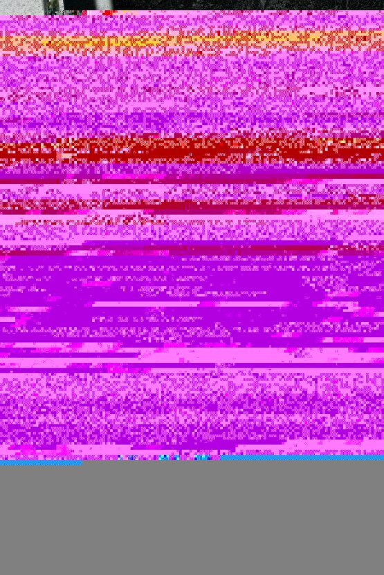 S-M-L Yıkanabilir Mesh Fileli Göğüs Tasması Nefes Alabilir Terletmez Dayanıklı Klipslı Cırtlı Tasma