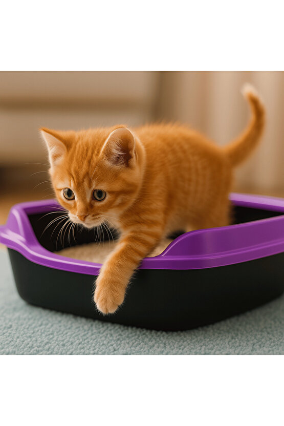 Kedi Tuvaleti Kürek Hediyeli Kedi Köpek Eğitim Tuvaleti Büyük Boy Tuvalet Kabı Mor Kedi Tuvalet Seti