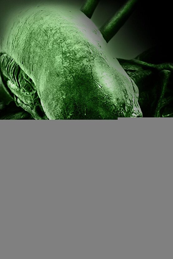 Kadın Kot Detaylı Takım