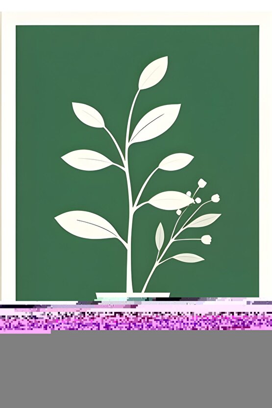 7. Sınıf Pass Ingilizce Lgs Denemeleri