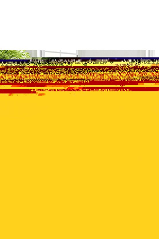 Katlanır Mutfak Masa ve 4 Adet Sandalye Takımı 60x90