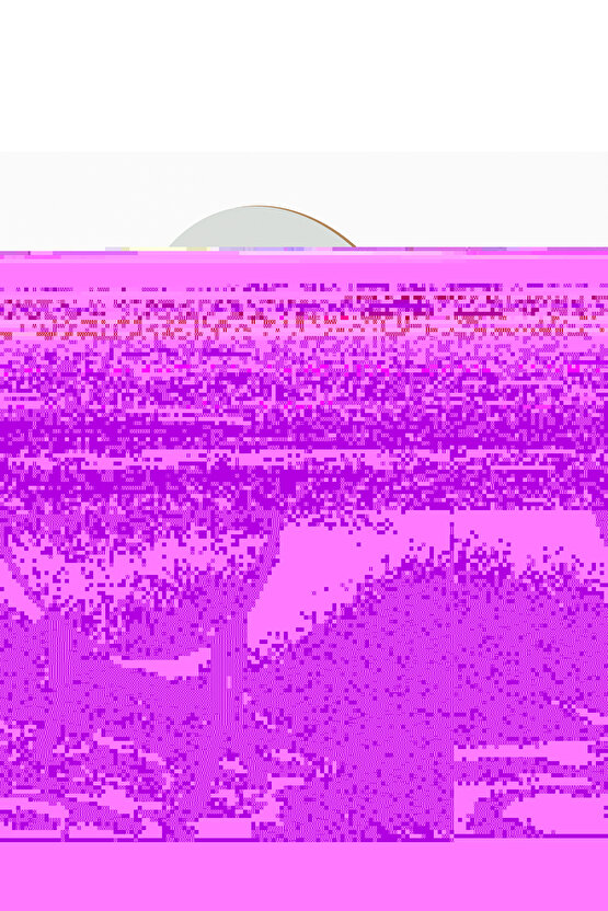 Katlanır Masa ve 4 Adet Sandalye Seti Beyaz 1463