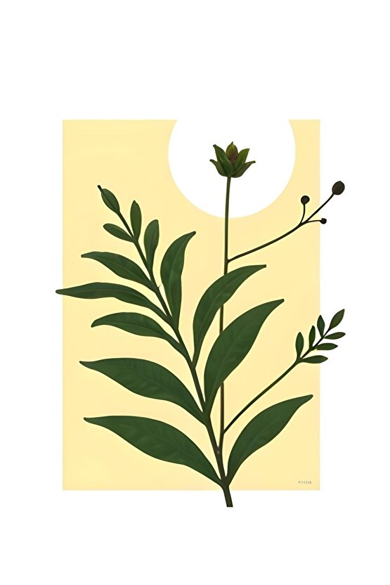 Bilgisayar Masası Çalışma Notebook Laptop Masası  Beyaz 1451