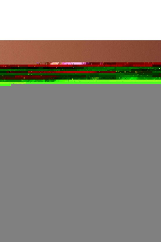 Vom Feinsten Hindi ve Tavşan Etli Mini Irk Yetişkin Köpek Ödül Maması 1 Adet 50 Gr