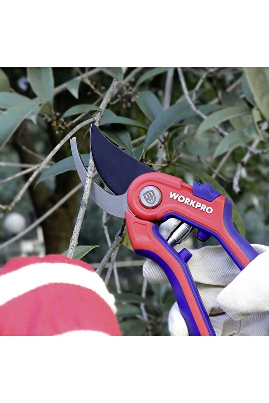 WP332009 Profesyonel Bağ Bahçe Dal Budama Makası