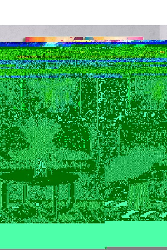 Matisse - Sanat - Soyut - Doğa - Ev - Yaşam ( 2 Li Çerçevesiz ) Poster - Afiş - Tablo NNHT771