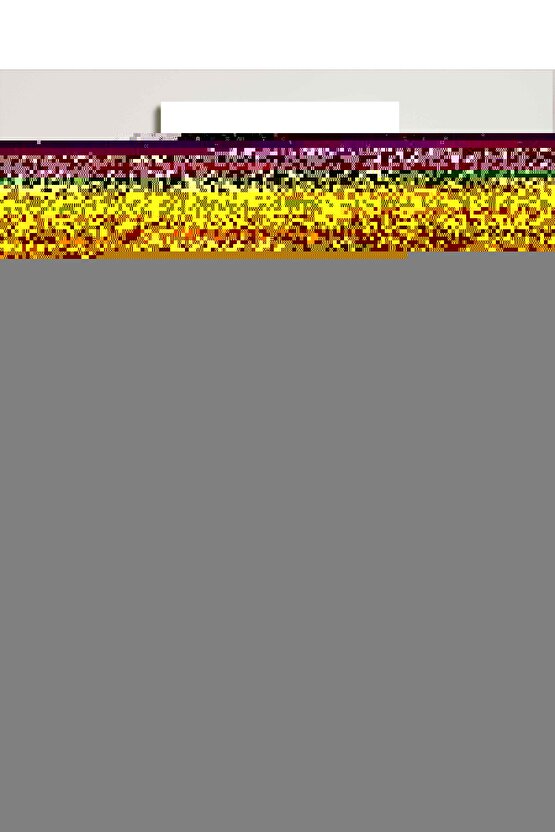 AirFit F20 CPAP BPAP Silikon Tam Yüz Ağız Burun Maskesi - Büyük Boy  Large