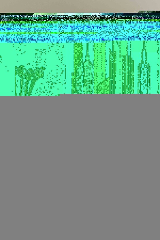 Sportswear Storm-Fit Legacy Shell Full-Zip Erkek Siyah Günlük Spor Ceket