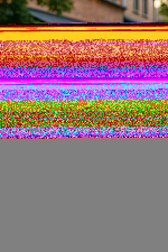 Matisse - Boho - Art Deco - Soyut - Doğa ( 3 lü Çerçevesiz ) Poster - Afiş - Tablo KR2C00645