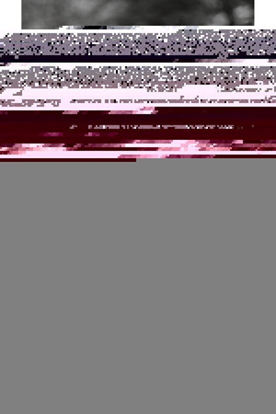 Matisse - Boho - Art Deco - Soyut - Doğa ( 3 lü Çerçevesiz ) Poster - Afiş - Tablo KR2C00678