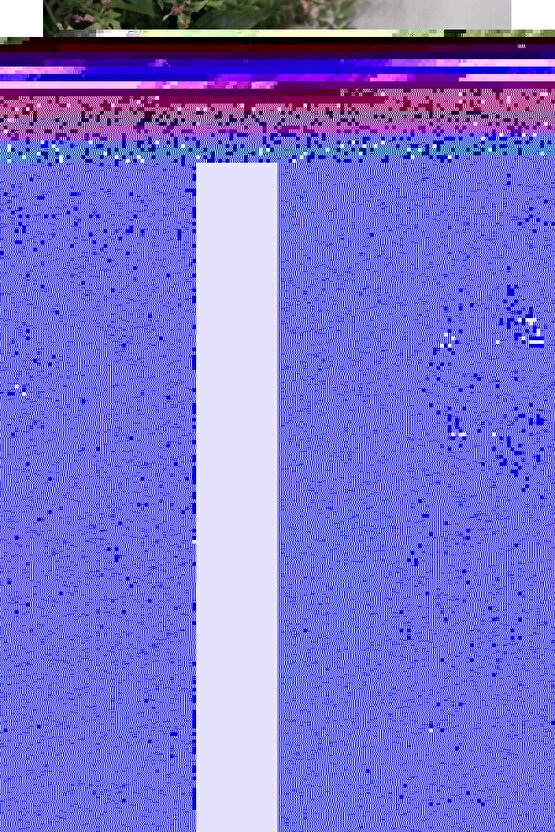 10 Watt Günışığı Led Ampul Dahil, Bahçe, Teras Duvar Aydınlatma Apliği, Set Üstü Dekoratif Aplik