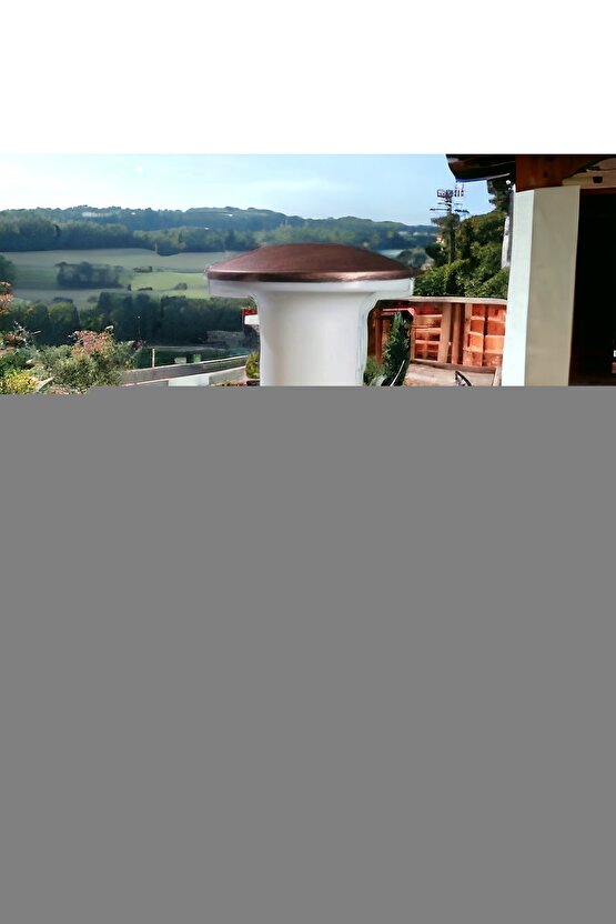 Matisse - Boho - Art Deco - Soyut - Doğa ( 3 lü Çerçevesiz ) Poster - Afiş - Tablo KR2C01257