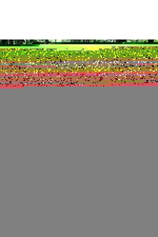 Bakır Eskitme Mantar Armatür, E27 Duy Bahçe Duvar Armatürü, Set Üstü Mantar Armatür, Bahçe Apliği