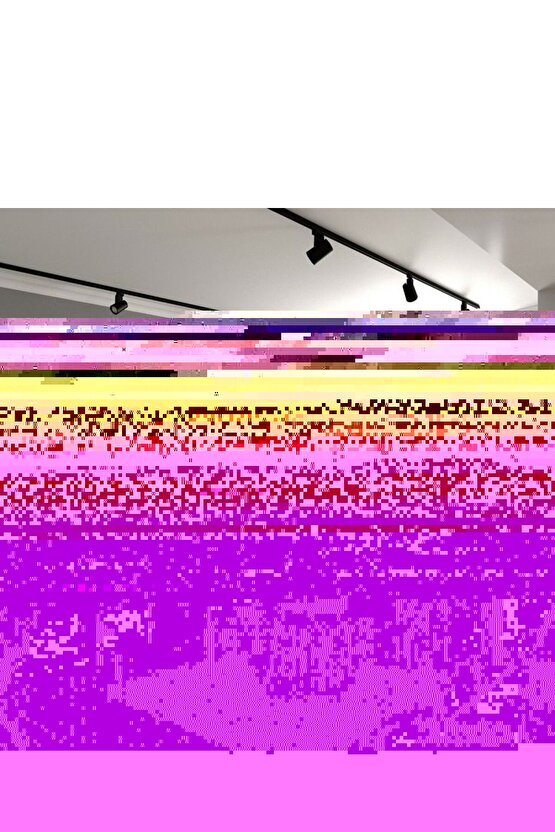 30 Watt Gün Işığı Siyah Kasa Birinci Sınıf Ray Spot (RAY HARİÇ) 1 Adet Spot Lamba