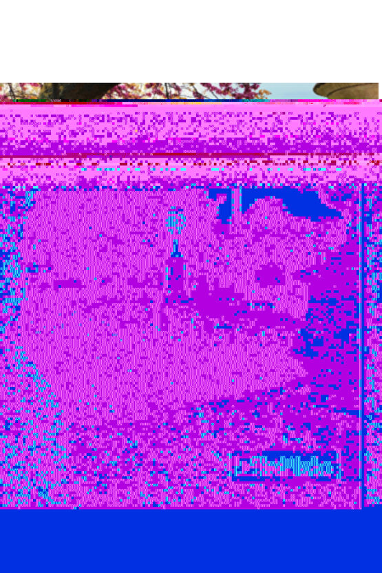 2 Adet Sekizgen Set Üstü Bahçe Armatürü, Set Üstü Modern Armatür, Bahçe Armatürü, 2 Ampul Hediye