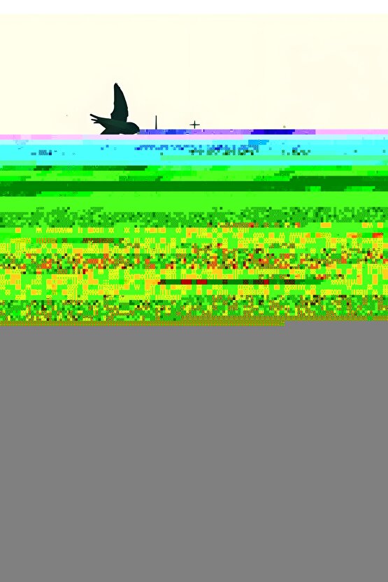 2 Adet Sekizgen Set Üstü Bahçe Armatürü, Set Üstü Modern Armatür, Bahçe Armatürü, 2 Ampul Hediye