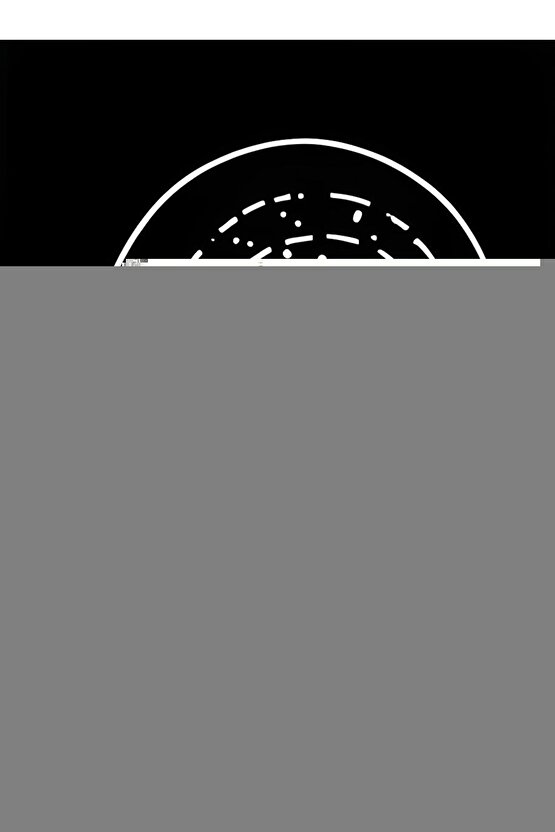 ERKEK KOL SAATİ VO.1.10014-2