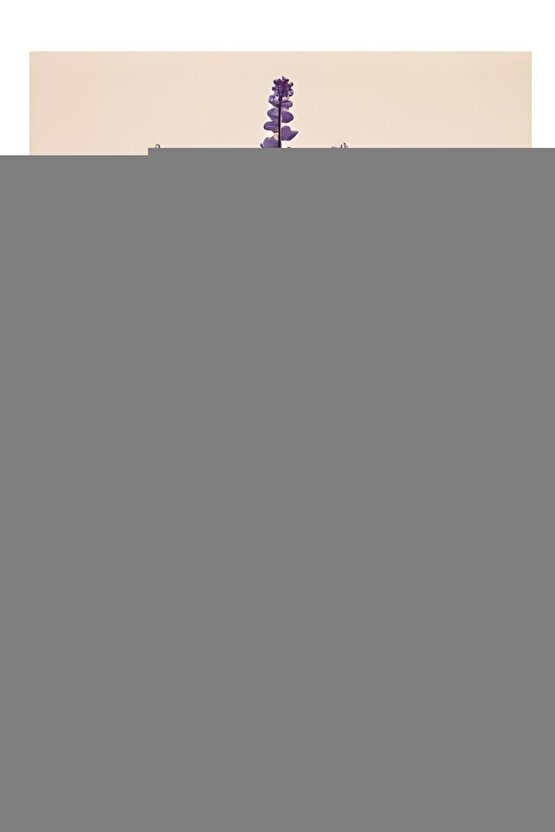 Yy.6053.wı Kol Saati