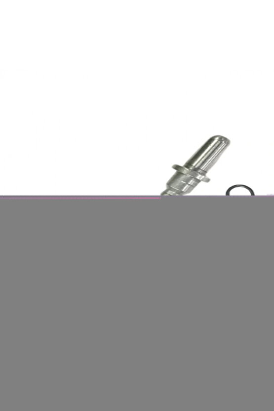 Sorrority Row Kızlar Tarikatında Cinayet