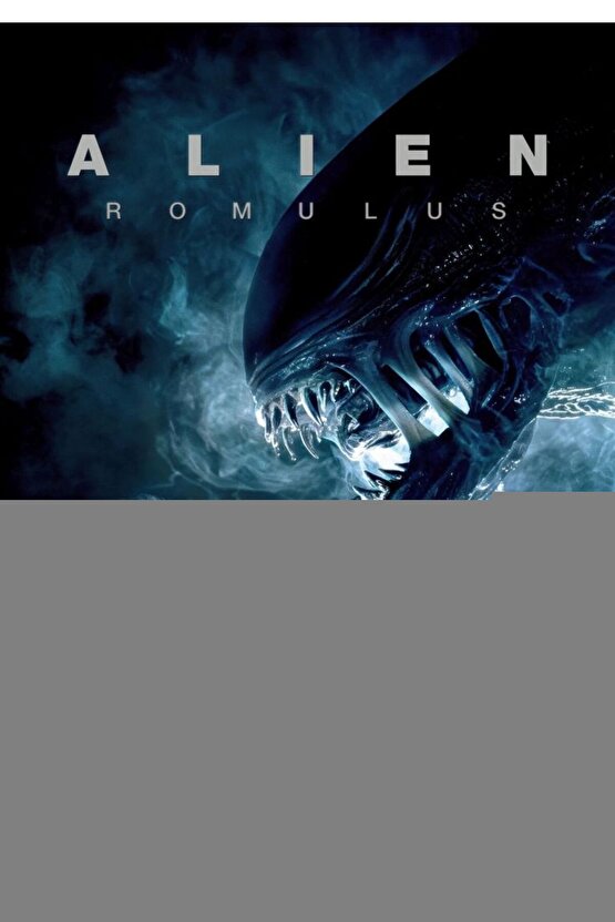 3 Metre Type C Şarj Kablosu Usb C Şarj Ve Data Kablosu