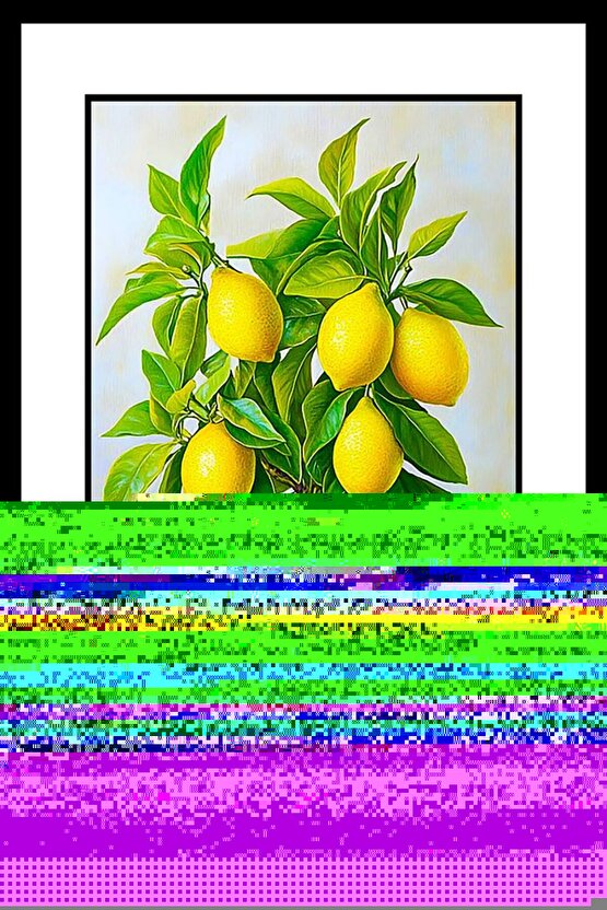 W10338-002 Bimbi Leo Soft Kız Çocuk Yağmur Çizmesi