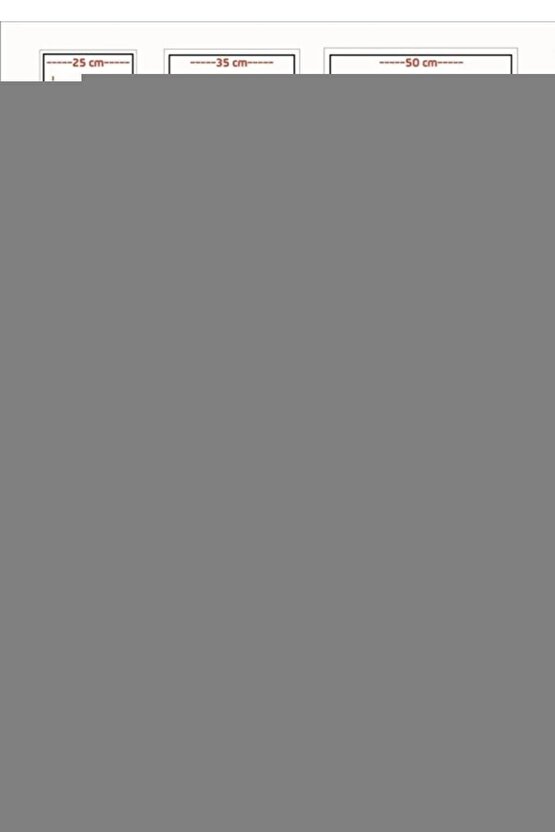 Sprinter Renkli-Yeşil Kadın Sneaker 2-000240-9760