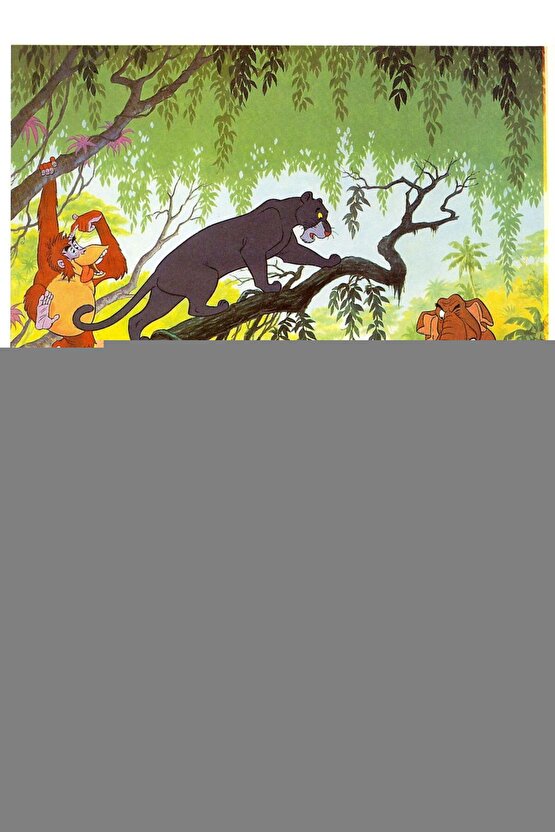 Beyaz Geniş Plise Zebra Stor Güneşlik Perde