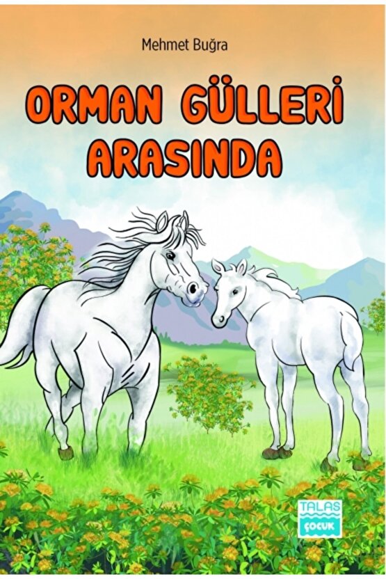 Özgün Çocuk Romanları Serisi (5 Kitap+çalışma Kitabı) +10 Yaş