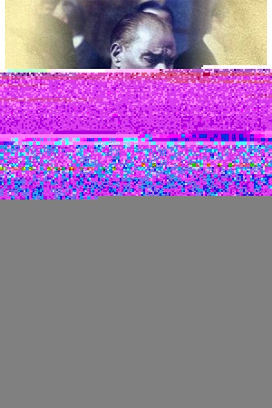 Atatürk’e Yapılan Suikastlar