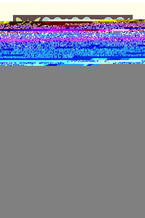 6 Adet Desenli Likralı Boxer