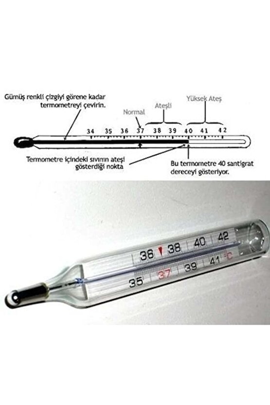Civa İçermeyen Beden Derecesi